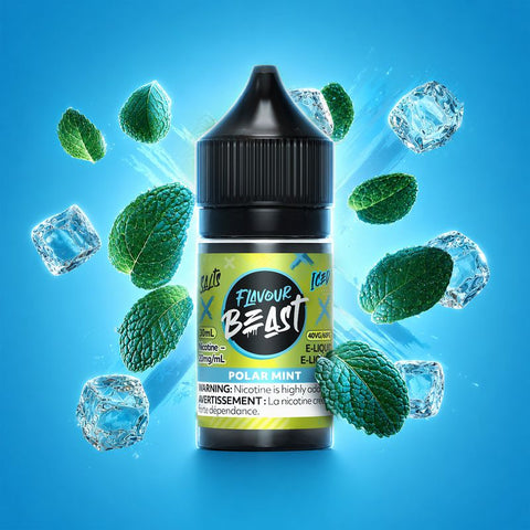 Saveur Beast Sel Nic