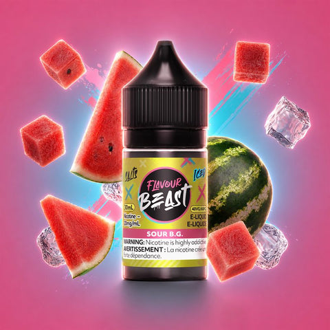 Saveur Beast Sel Nic