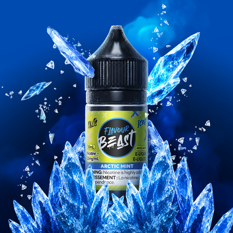 Flavour Beast Salt Nic Mint