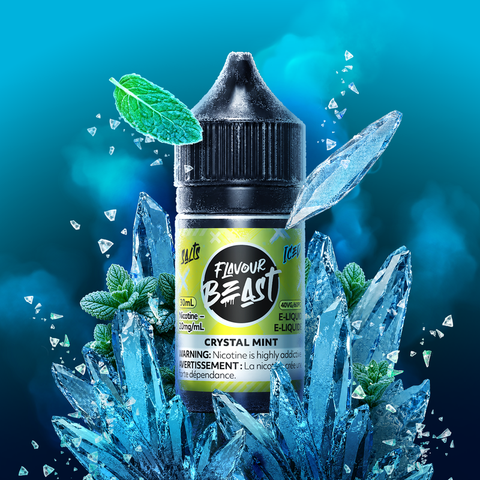 Flavour Beast Salt Nic Mint
