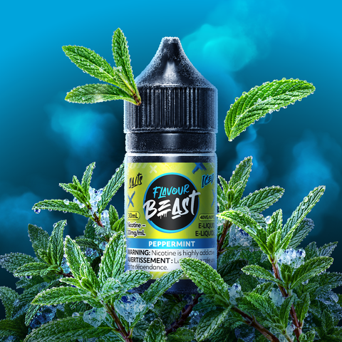 Flavour Beast Salt Nic Mint