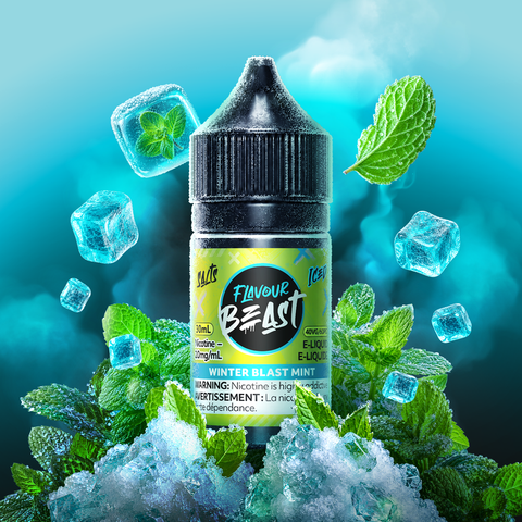 Flavour Beast Salt Nic Mint
