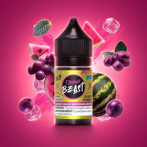 Saveur Beast Sel Nic