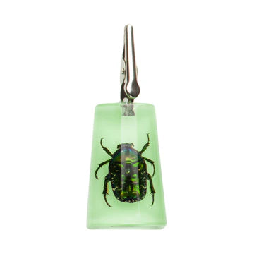 Gear Premium X Creature Clip
