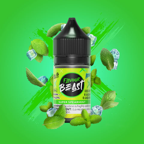 Flavour Beast Salt Nic Juice