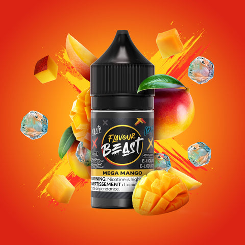 Flavour Beast Salt Nic