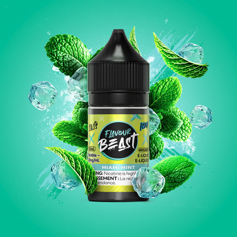 Flavour Beast Salt Nic