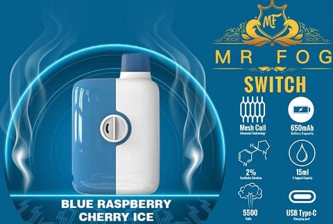 Interrupteur Mr. Fog SW5500 MR. VAPOR Interrupteur Mr. Fog SW5500 MR. VAPOR